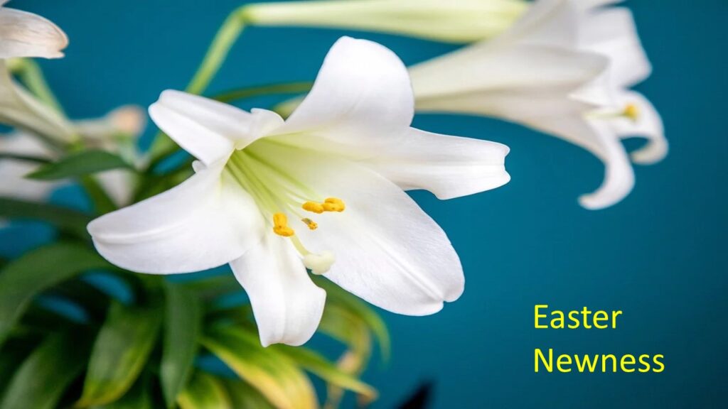 “EASTER NEWNESS” – SUNDAY, April 4, 2021