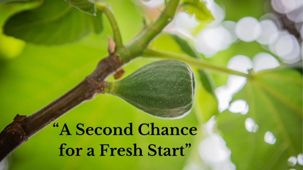 “A Second Chance for a Fresh Start” – Sunday, November 29, 2023